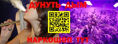 индика Рыбинск