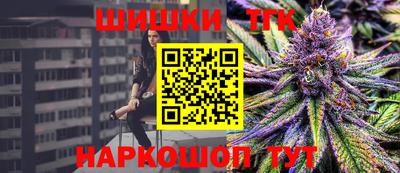 индика Рыбинск
