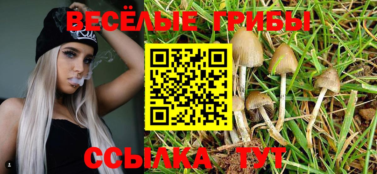 Ревда  Галлюциногенные грибы Psilocybe  Галлюциногенные грибы Psilocybe  Вход с VPN 